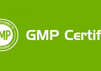 Đào tạo chứng nhận GMP 
