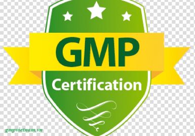 Tư vấn cấp giấy chứng nhận GMP 